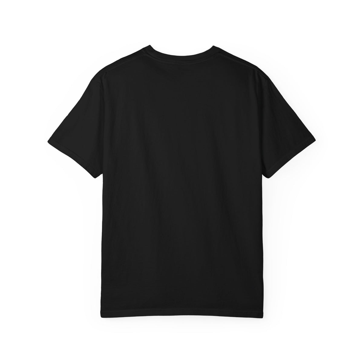 Cheer Dad T-Shirt — "Professional Bag Carrier" Vintage Sport Dad Tee