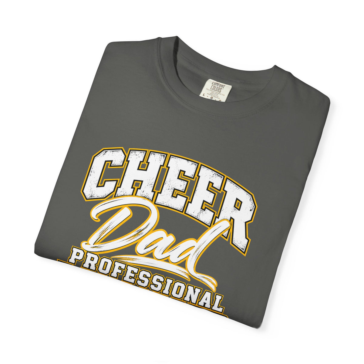 Cheer Dad T-Shirt — "Professional Bag Carrier" Vintage Sport Dad Tee