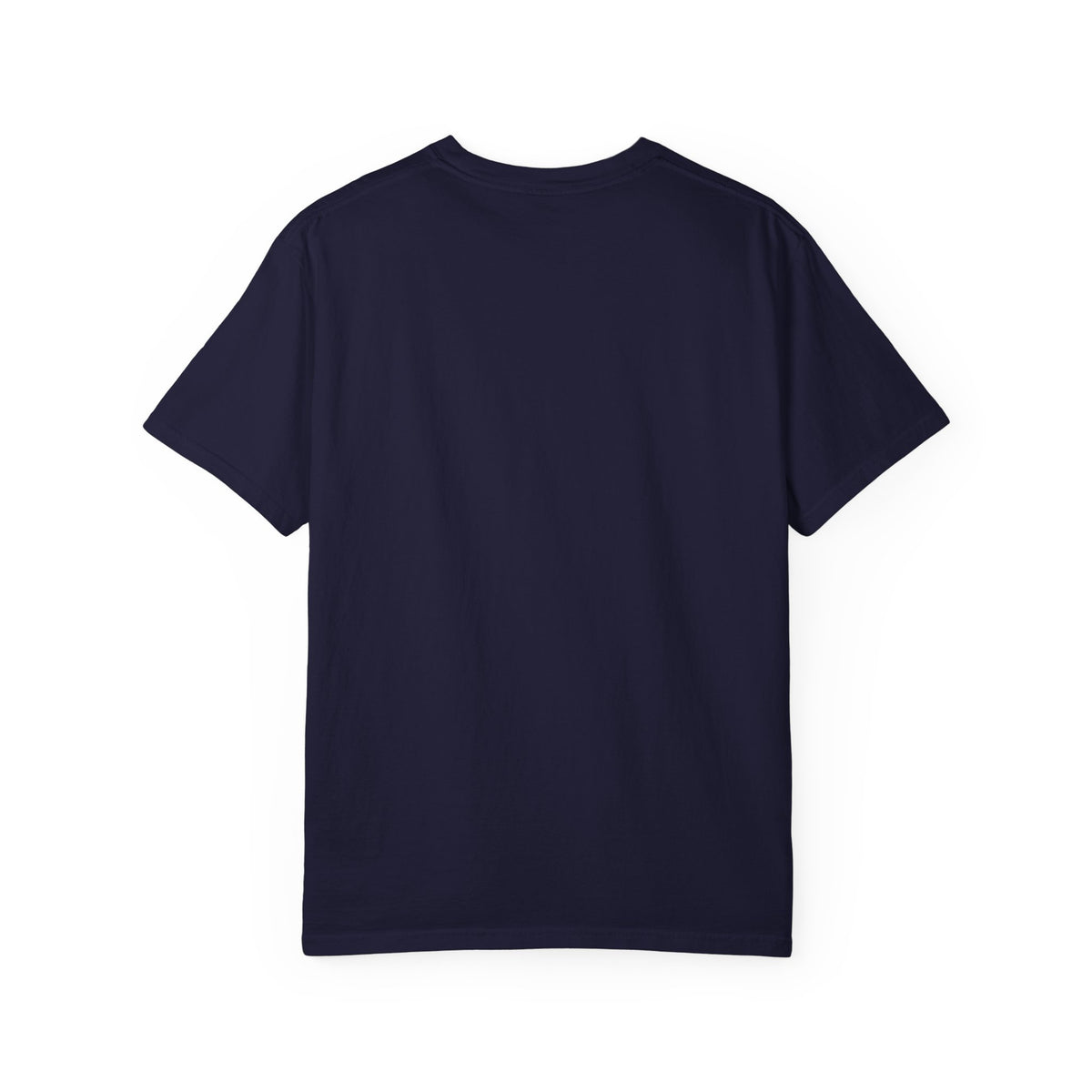 Cheer Dad T-Shirt — "Professional Bag Carrier" Vintage Sport Dad Tee