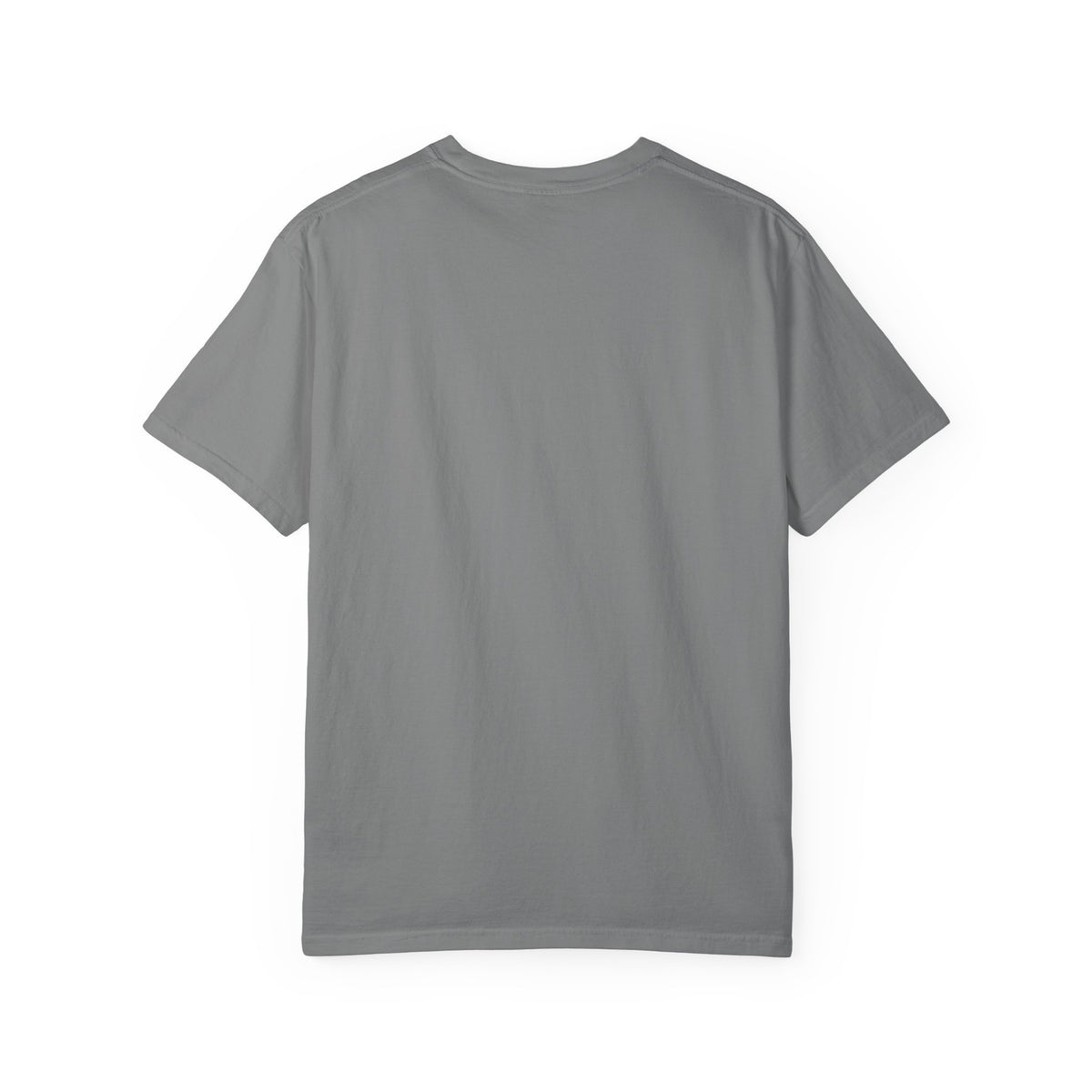 Cheer Dad T-Shirt — "Professional Bag Carrier" Vintage Sport Dad Tee
